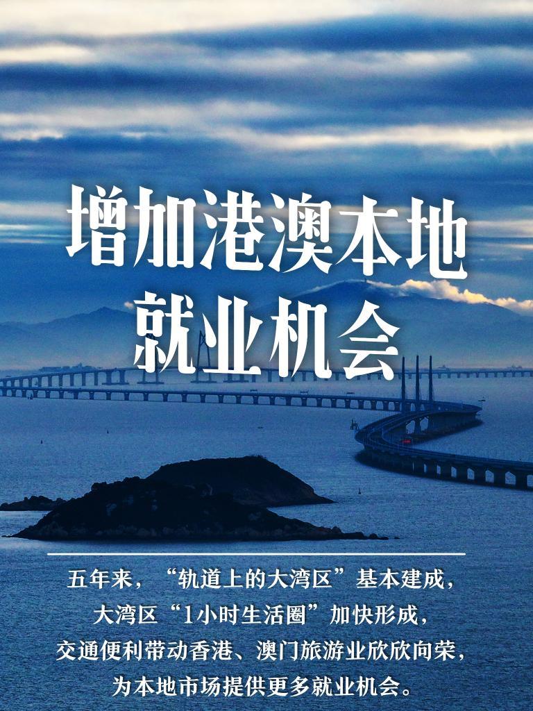 2025年新澳门和香港天天免费精准大全的全面诠释、解释与落实 解析与释义与警惕虚假宣传